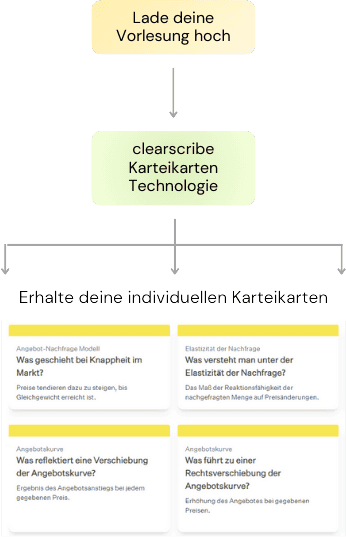 Describe the image here for accessibility